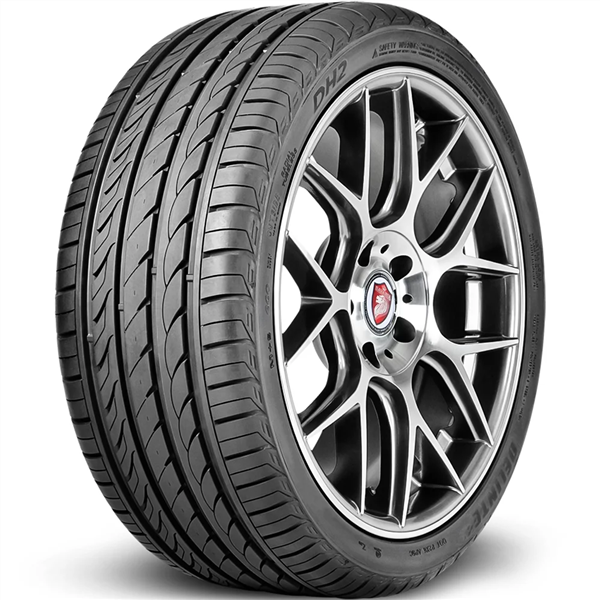 245/45R19 DELINTE DH2 102Y PCR A/S 420AA *50K*